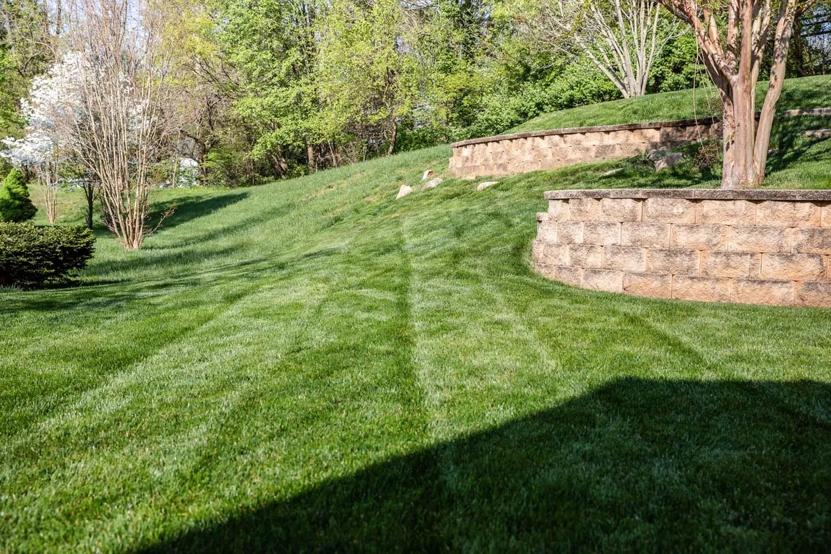 Professional lawn mowing
